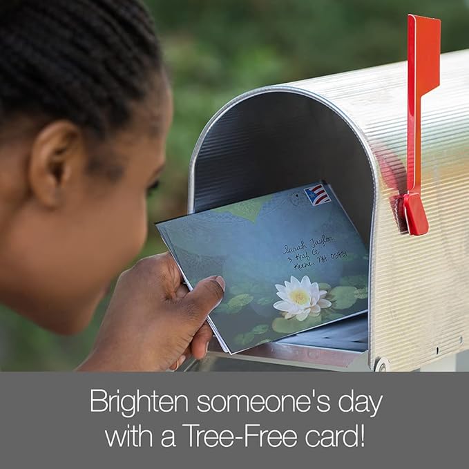 Tree-Free Greetings Single Card with Matching Envelope, Eco Friendly, Made in USA, 100% Recycled Paper, 5"x7", Bouquet Of Light Friendship (GO54393)