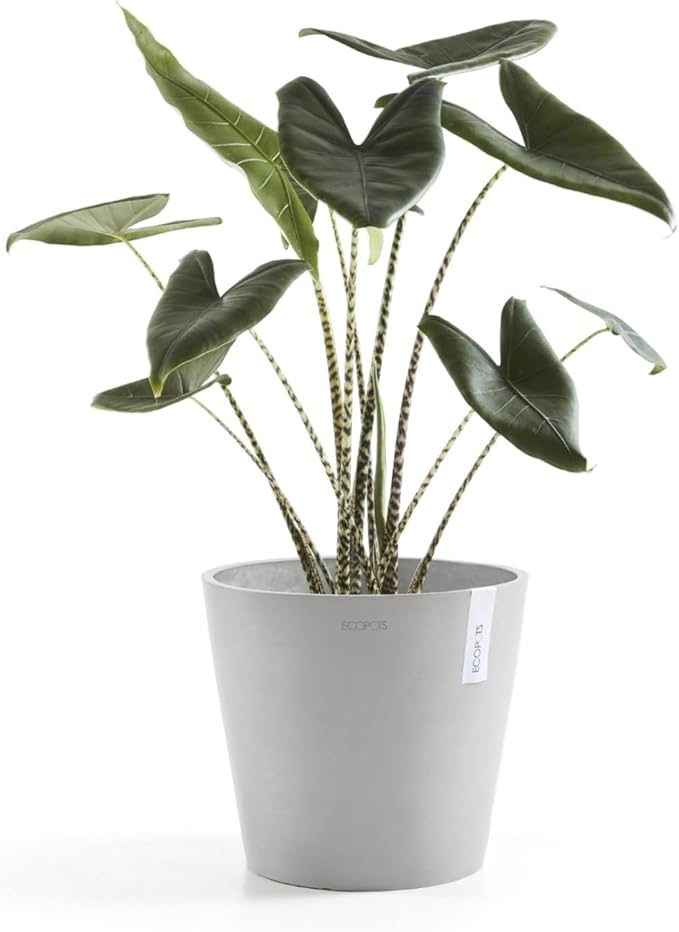 Ecopots Amsterdam Durable Modern Round Indoor/Outdoor Recycled-Based Composite Flower Pot Planter, White Grey, 10"