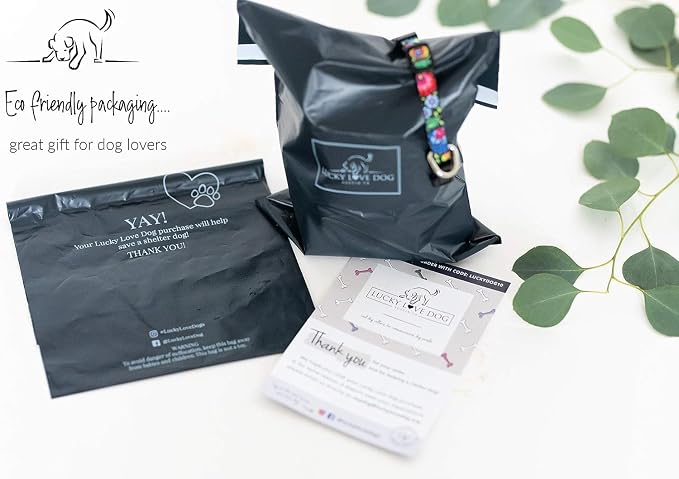 Lucky Love Dog - Easy Click Buckle Dog Collar with Leash Set Combo, Durable & Comfortable for Male & Female Dogs, Pet Collar for Large Dogs, Secure Fit - Carriebelle Martingale Combo, Large