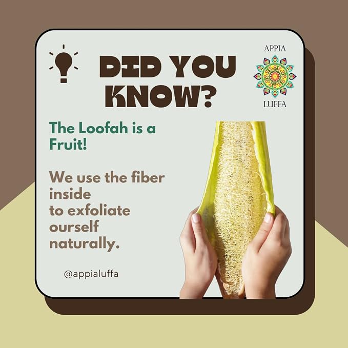 Premium Organic Egyptian Whole Loofah Sponge| Bath & Shower | Body Scrubber | Eco Friendly 100% Natural & Biodegradable | Daily Skin Cleansing Care for Women and Men– 50-60 cm
