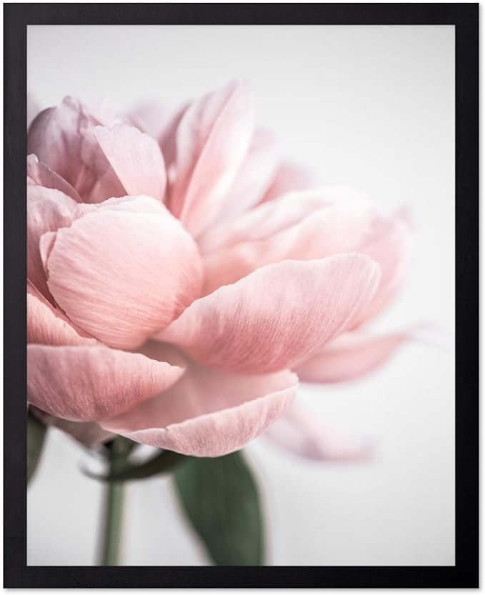 Monem Art Soft Pink Peony Macro Photography Print - Minimalist Floral Art Poster - Wall Decor for Living Room, Bedroom or Office - 16x20 Black Framed Wall Art by Mareike Bohmer