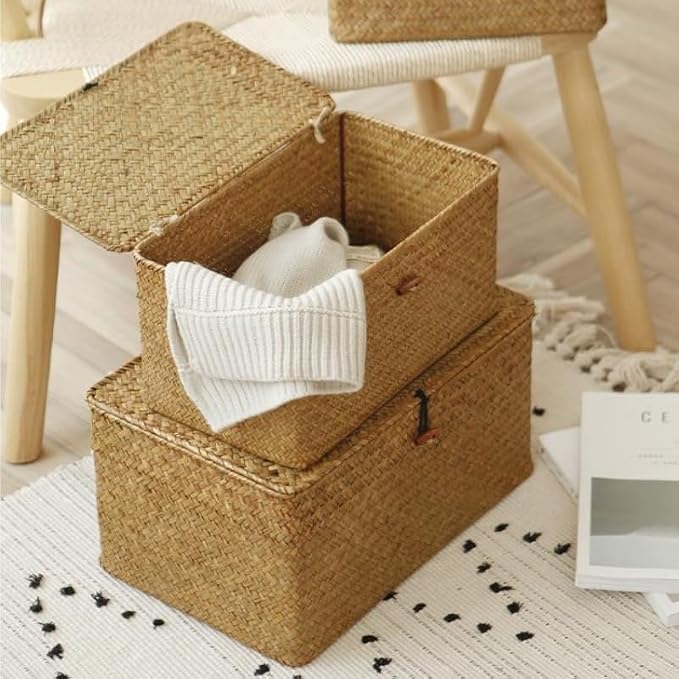 Wicker Basket with Lid, Seagrass Storage Basket, Woven Baskets for Storage, Decorative Storage Baskets for Shelf Organizing, Natural