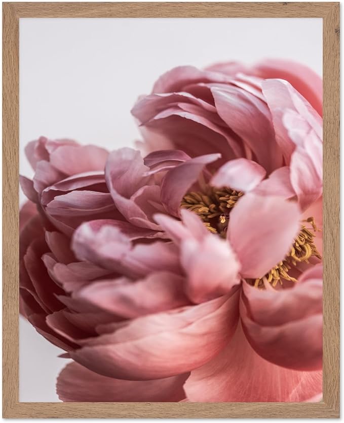 Monem Art Blush Pink Peony Print - Minimalist Floral Photography Poster - Wall Decor for Living Room, Bedroom or Office - 16x20 Beige Framed Wall Art by Mareike Bohmer