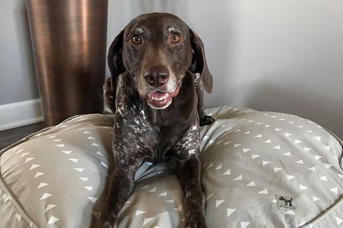 Molly Mutt Medium to Large Dog Bed Cover - Be Still Print - Measures 36” x 5’’ - 100% Cotton - Durable - Breathable - Sustainable - Machine Washable Dog Bed Cover