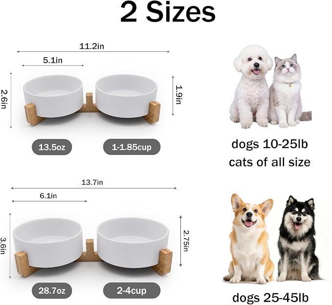 MateeyLife Ceramic Dog and Cat Bowls with Stand, 2-Pack Food and Water Bowl Set - Non-Slip Pet Bowls for Cats,Puppies and Small Dogs, 13.5OZ（White）