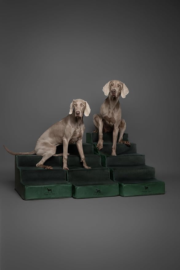 Noah & Paw Dog Stairs, Dog Ramp for Bed (20" Extra Wide) Pet Stairs for High Bed, Design to Fit Small and Large Breeds, Durable 5 Pet Steps for Couch (35 Foam Density) Leather Collection