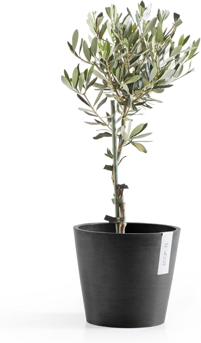 Ecopots Amsterdam Durable Modern Round Indoor/Outdoor Recycled-Based Composite Flower Pot Planter, Dark Grey, 8"