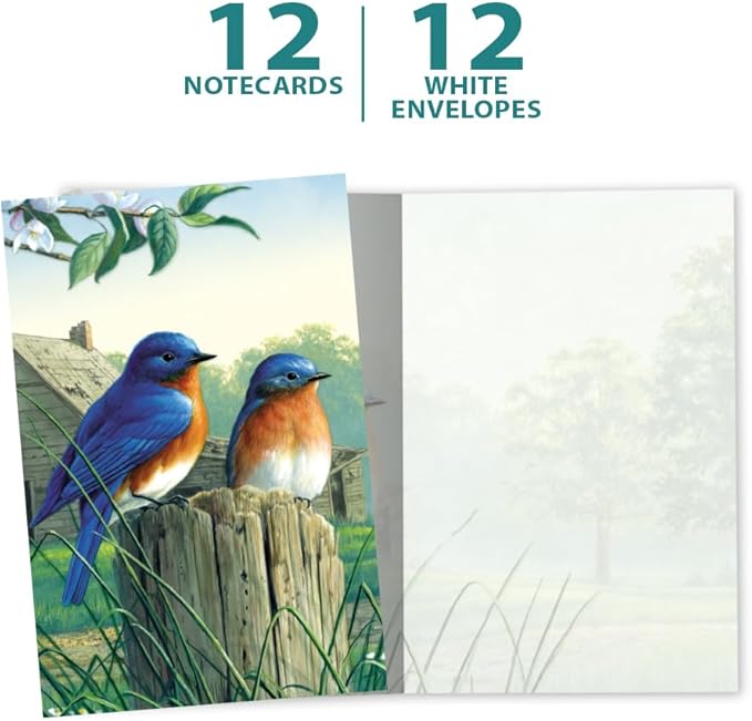 Tree-Free Greetings - All Occasion Cards - Artful Designs - 12 Greeting Cards + White Envelopes - Made in USA - 100% Recycled Paper - 4 x 6 - Morning Bluebirds (FS66817)