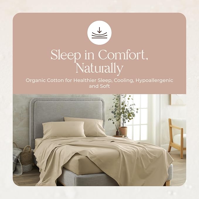 100% Organic Cotton Pillow Cases Queen Size Set of 2-100% Cotton Pillowcases GOTS Certified 300 Thread Count - Naturally Cooling Comfortable Breathable & Soft Pillow Cases (Dune, Queen)