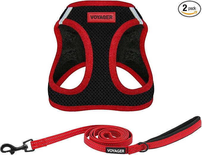 Best Pet Supplies Voyager Step-in Air All Weather Mesh Harness and Reflective Dog 5ft Leash Combo with Neoprene Handle, for Small, Medium and Large Breed Puppies - Set (Red Trim), Medium