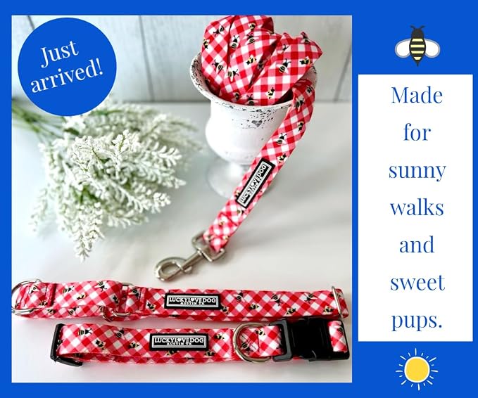 Lucky Love Dog - Easy Click Buckle Dog Collar with Leash Set Combo, Durable & Comfortable for Male & Female Dogs, Pet Collar for Small Dogs, Secure Fit - Bailey Combo, Small