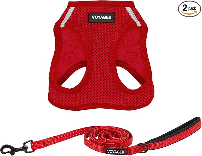 Best Pet Supplies Voyager Step-in Air All Weather Mesh Harness and Reflective Dog 5ft Leash Combo with Neoprene Handle, for Small, Medium and Large Breed Puppies - Red, Small