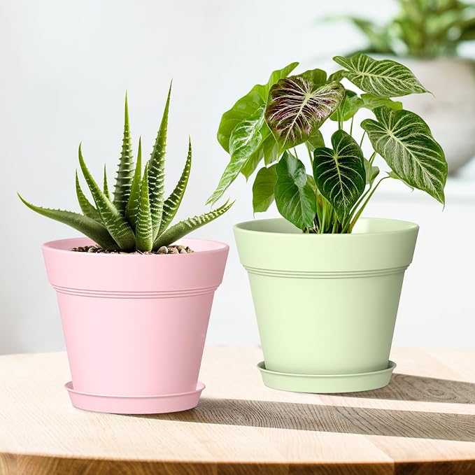 WSMKSZ 6 Inch Thick Plastic Plant Pots with Drainage Holes and Trays – 6 Pack Nursery Pots for Indoor & Outdoor House Plants, Seedling Starter Planters for Garden Flowers, Colorful
