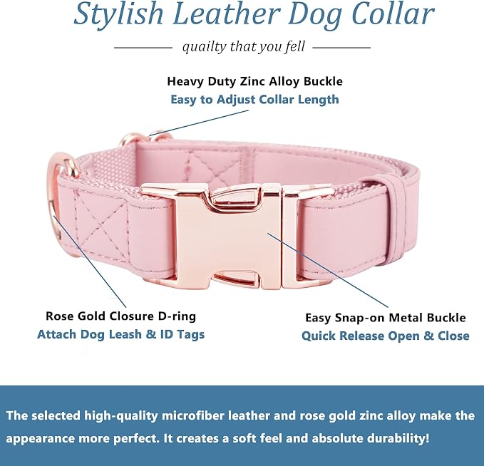 Dog Collar and Leash Set.Soft and Easy to Clean Vegan Leather with Rose Gold Metal Buckle for Small Medium Large Dogs (Pink, XS(8"-12"))