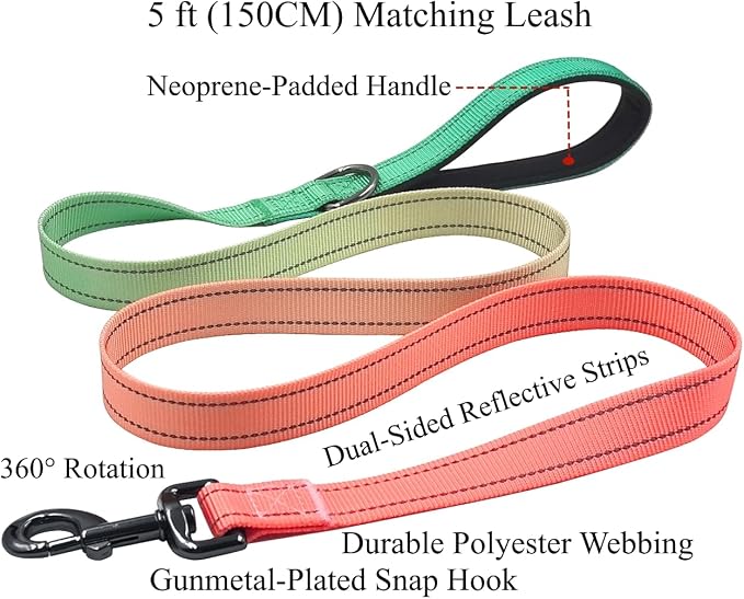 Dog Collar Leash Set, Gradient Color, with Safety Reflective Strips, 5 ft Matching Leash, Neoprene Padded Handle, Adjustable 4 Sizes for Small Medium Large Dogs.(S, Green Orange)