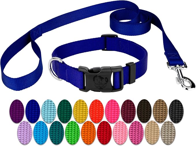 Country Brook Petz - Everyday Nylon Dog Collar and Leash - 10+ Cool Colors (3/4 Inch, Medium, Bright Royal Blue)