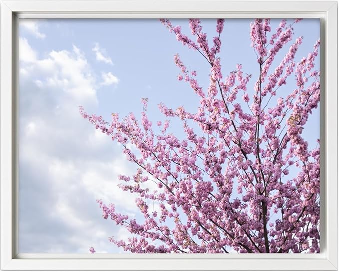 Monem Art Cherry Blossom Spring Sky Photography Print - Floral Nature Art Poster - Wall Decor for Living Room, Bedroom or Office - 16x20 White Framed CANVAS Wall Art by Mareike Bohmer