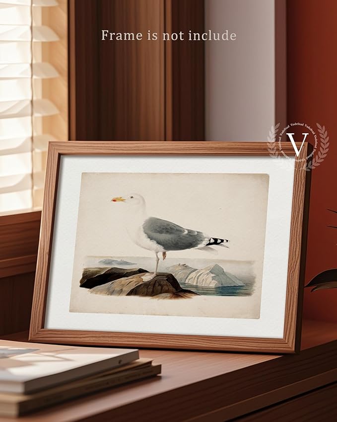 Vodefoad Vintage Seagull Print Large Seagull Nautical Bird Wall Art Coastal Print Beach House Wall Art Nautical Decor for Gallery Kitchen Living Room Bedroom (UNFRAMED 8x10in)