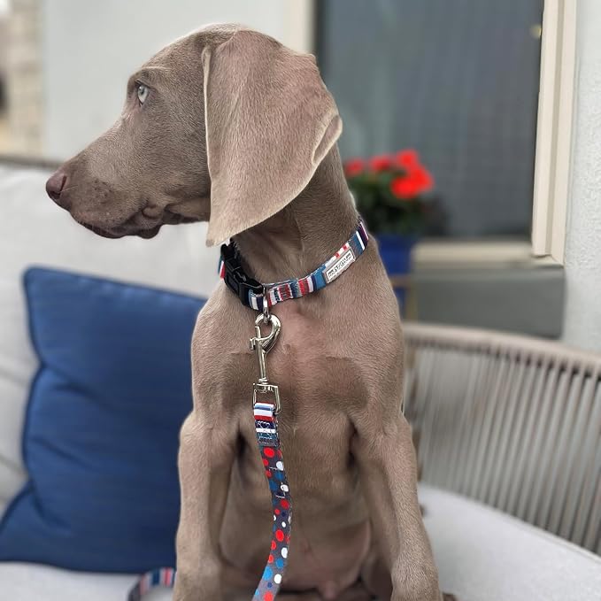 Lucky Love Dog - Adjustable Dog Collar and Leash Set with Easy Click Buckle for Small Dogs, Durable, & Comfortable Collar for Male & Female Dogs, Puppies & Adult Ones - Linus Combo, XS