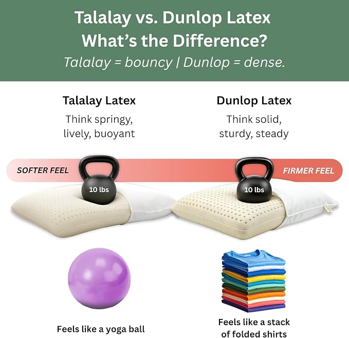 OrganicTextiles Natural Latex Pillow with Organic Cotton Cover (King Size, Firm), GOTS Certified, Bed Pillow for Sleeping, Neck Pain Relief Help, Head Support, for Side Back Stomach Sleeper