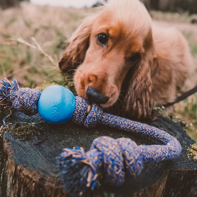 Beco Ball with Rope Small Dog Toy (Green), 5060189751334