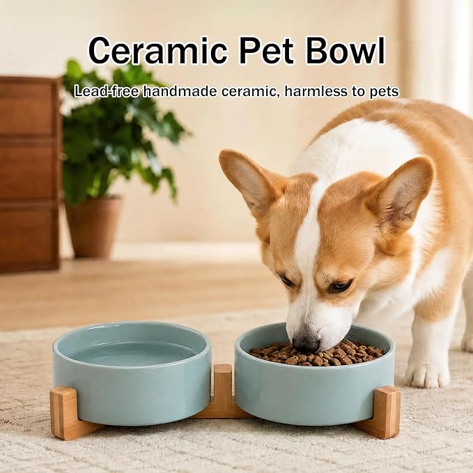 MateeyLife Ceramic Dog and Cat Bowls with Stand, 2-Pack Food and Water Bowl Set - Non-Slip Pet Bowls for Small & Medium Size Dogs，28.7OZ(Green)