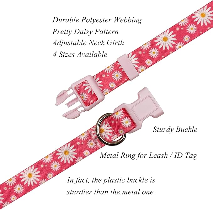 Dog Collar Leash Set, Floral Pattern, Polyester Material, Adjustable Collar and 5ft Matching Leash, for Puppy Dogs.(XS, Daisy)