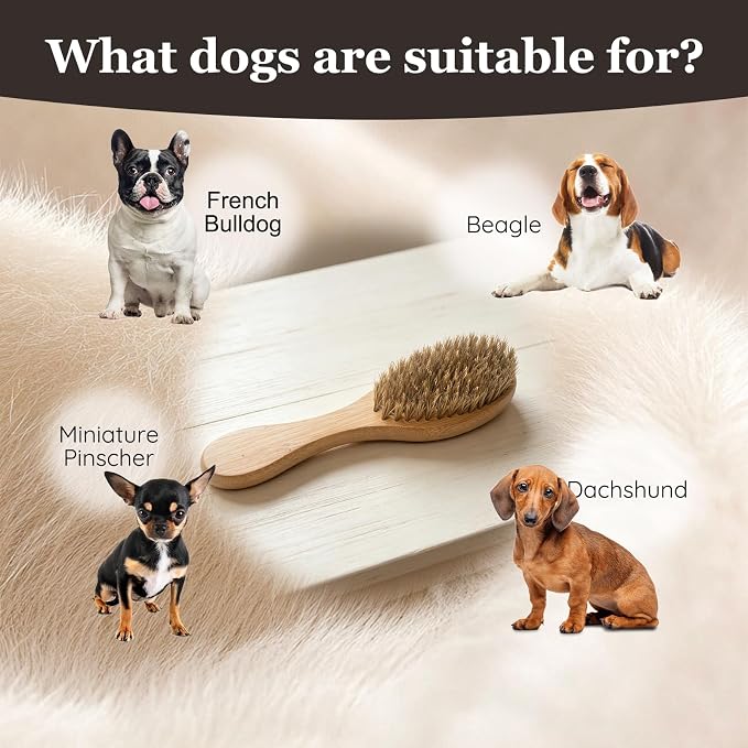 Soft Boar Bristle Short Hair Dog Brush, Natural Bamboo Handle, Pet Massage Deshedding Tool, Fit Puppy, Such as French Bulldog, Beagle, Dachshund, Boston Terrier, Pug, Chihuahua