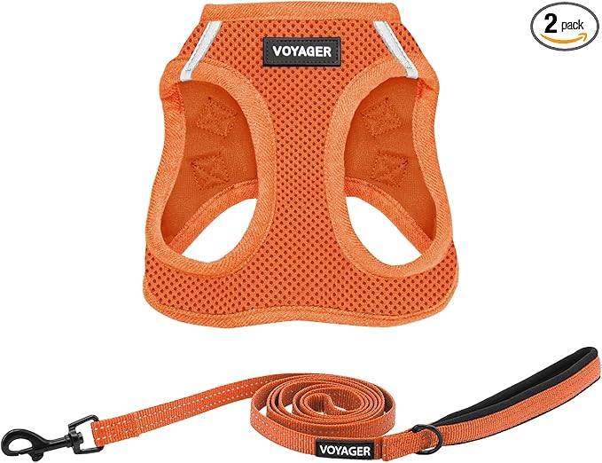 Best Pet Supplies Voyager Step-in Air All Weather Mesh Harness and Reflective Dog 5ft Leash Combo with Neoprene Handle, for Small, Medium and Large Breed Puppies - Orange, Small