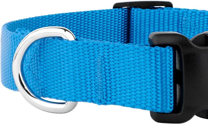 Country Brook Petz - Everyday Nylon Dog Collar and Leash - 10+ Cool Colors (3/8 Inch, 3XS, Ice Blue)