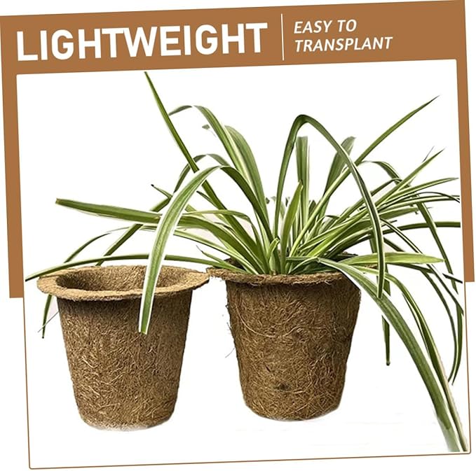 LABRIMP 6pcs Biodegradable Coir Succulent Planter Nursery Pots for Seedlings and Indoor Garden, Eco-Friendly Peat Plant Holders Suitable for Vegetable and Herb Growth