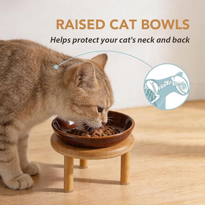 Havniva Elevated Cat Bowls Raised Ceramic Cat Bowl, 5.7” Wide Opening Cat Food Bowl Whisker Friendly Cat Dish Anti-Slip with Bamboo Stand, Shallow Pet Food & Water Bowl for Indoor Cats