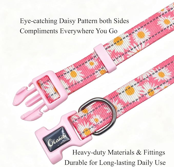 Dog Collar Leash Set, Floral Pattern, with Safety Reflective Strips, 5 ft Matching Leash, Neoprene Padded Handle, Adjustable 4 Sizes for Small Medium Large Dogs.(M, Pink Daisy)