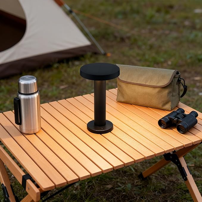 Charge LED Solar Powered Table Lamp, 5200mAh Battery Operated with USB-C Charging Port Fingertip Touch Dimming On/Off 3W 90 Lumens 2700K Warm in Black