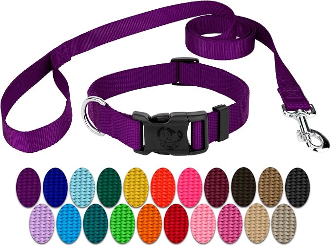 Country Brook Petz - Everyday Nylon Dog Collar and Leash - 10+ Cool Colors (3/4 Inch, Small, Purple)