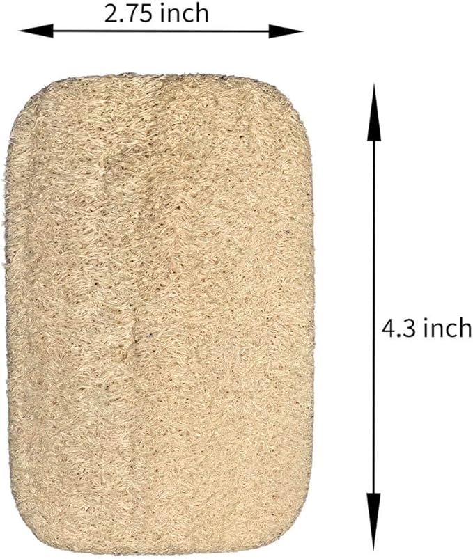 Natural Loofah Dish Sponge 10 Pack, Plant-Based Kitchen Scrubber for Dishes, Pots & Pans, Eco-Friendly Biodegradable Cleaning Sponge