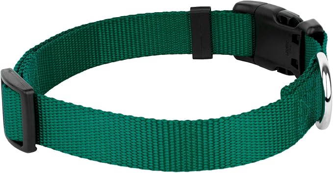 Country Brook Petz - Everyday Nylon Dog Collar and Leash - 10+ Cool Colors (3/8 Inch, 2XS, Green)