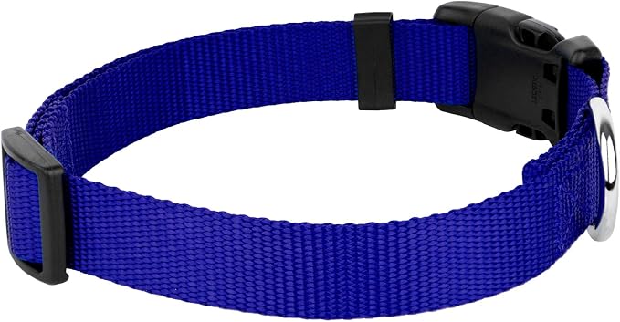 Country Brook Petz - Everyday Nylon Dog Collar and Leash - 10+ Cool Colors (3/4 Inch, Medium, Bright Royal Blue)