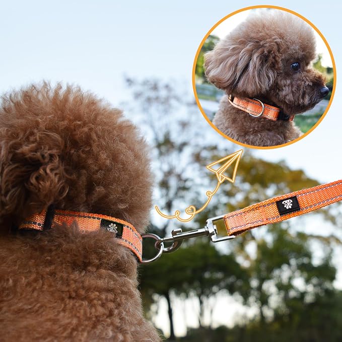 NESTROAD Dog Collar and Leash Set,Reflective Dog Collars with Quick Release Buckle,Adjustable Nylon Pet Collar for Small Medium Large Dogs(Small,Orange)