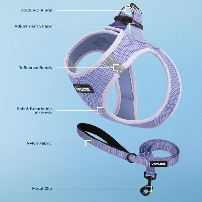 Best Pet Supplies Voyager Step-in Air All Weather Mesh Harness and Reflective Dog 5ft Leash Combo with Neoprene Handle, for Small, Medium and Large Breed Puppies - Lavender, XS