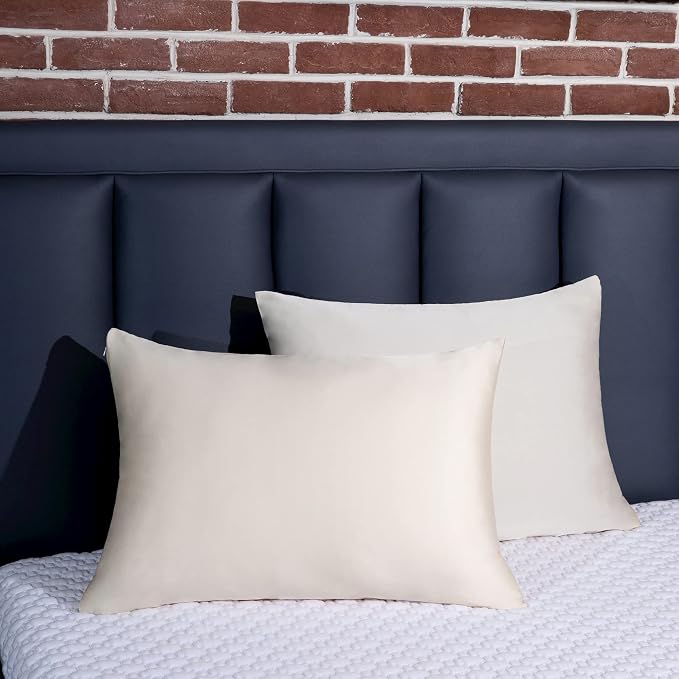 100% Mulberry Silk Pillowcase 2 Pack for Hair and Skin,with Hidden Zipper,Both Sides 19 Momme 600 Thread Count Natural Silk Pillow Cover,Soft Breathable Smooth (Buff Beige, Queen 20''x30'')