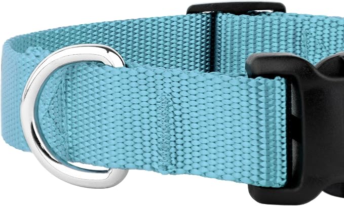 Country Brook Petz - Everyday Nylon Dog Collar and Leash - 10+ Cool Colors (1 Inch, Large, Ocean Blue)
