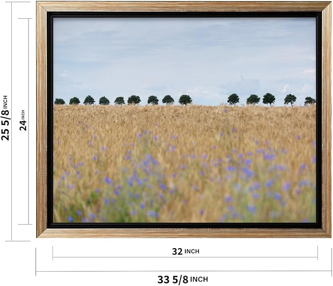 Monem Art Golden Meadow Horizon Landscape Print - Minimalist Nature Photography Poster - Wall Decor for Living Room, Bedroom or Office - 24x32 Silver Framed CANVAS Wall Art by Mareike Bohmer