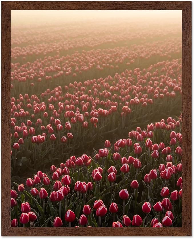 Monem Art Golden Tulip Field Sunset Photography Print - Romantic Spring Landscape Art Poster - Wall Decor for Living Room, Bedroom or Office - 16x20 Brown Framed Wall Art by Mareike Bohmer