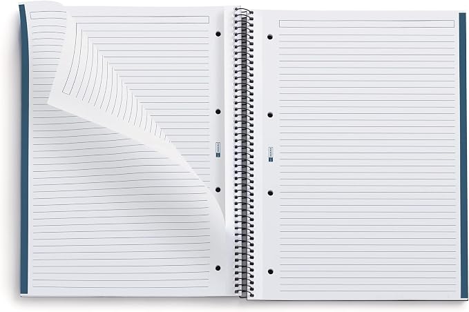 Miquelrius - 100% Recycled Notebook Notebook, 1 Colour Stripe, A4, 80 Sheets of Horizontal Rules, 80 g Paper, 4 Drills, Recycled Cardboard Cover, Eco Maps Design