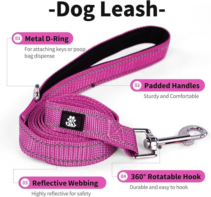 IVY&LANE 2 Pack Reflective Dog Collars and Leashs Set,Adjustable Neoprene Padded Dog Collar for Puppy, Breathable Nylon Pet Collar for Small Medium Large Dogs(Medium,Fuchsia+Teal)