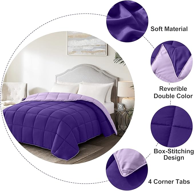 Homelike Moment Oversized Queen Comforter - Purple Duvet Insert Down Alternative Bed Comforter, Lightweight Bedding Comforters Oversize Queen Quilted Soft All Season Reversible Plum/Light Purple