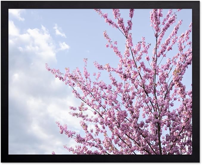 Monem Art Cherry Blossom Spring Sky Photography Print - Floral Nature Art Poster - Wall Decor for Living Room, Bedroom or Office - 16x20 Black Framed Wall Art by Mareike Bohmer