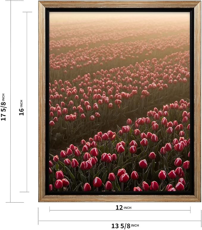 Monem Art Golden Tulip Field Sunset Photography Print - Romantic Spring Landscape Art Poster - Wall Decor for Living Room, Bedroom or Office - 12x16 Silver Framed CANVAS Wall Art by Mareike Bohmer