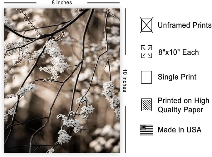 Monem Art Cherry Blossom Branch Photography Print - Moody Botanical Nature Art Poster - Wall Decor for Living Room, Bedroom or Office - 8x10 Unframed Wall Art by Mareike Bohmer